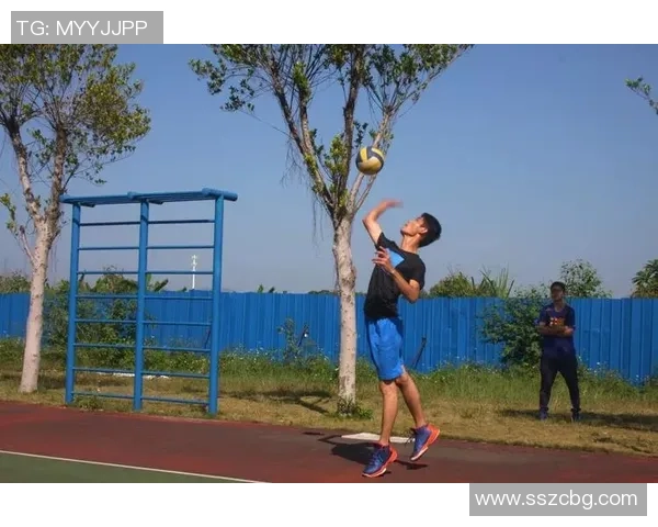 深圳排球队的崛起之路：城市联赛中的拼搏与梦想